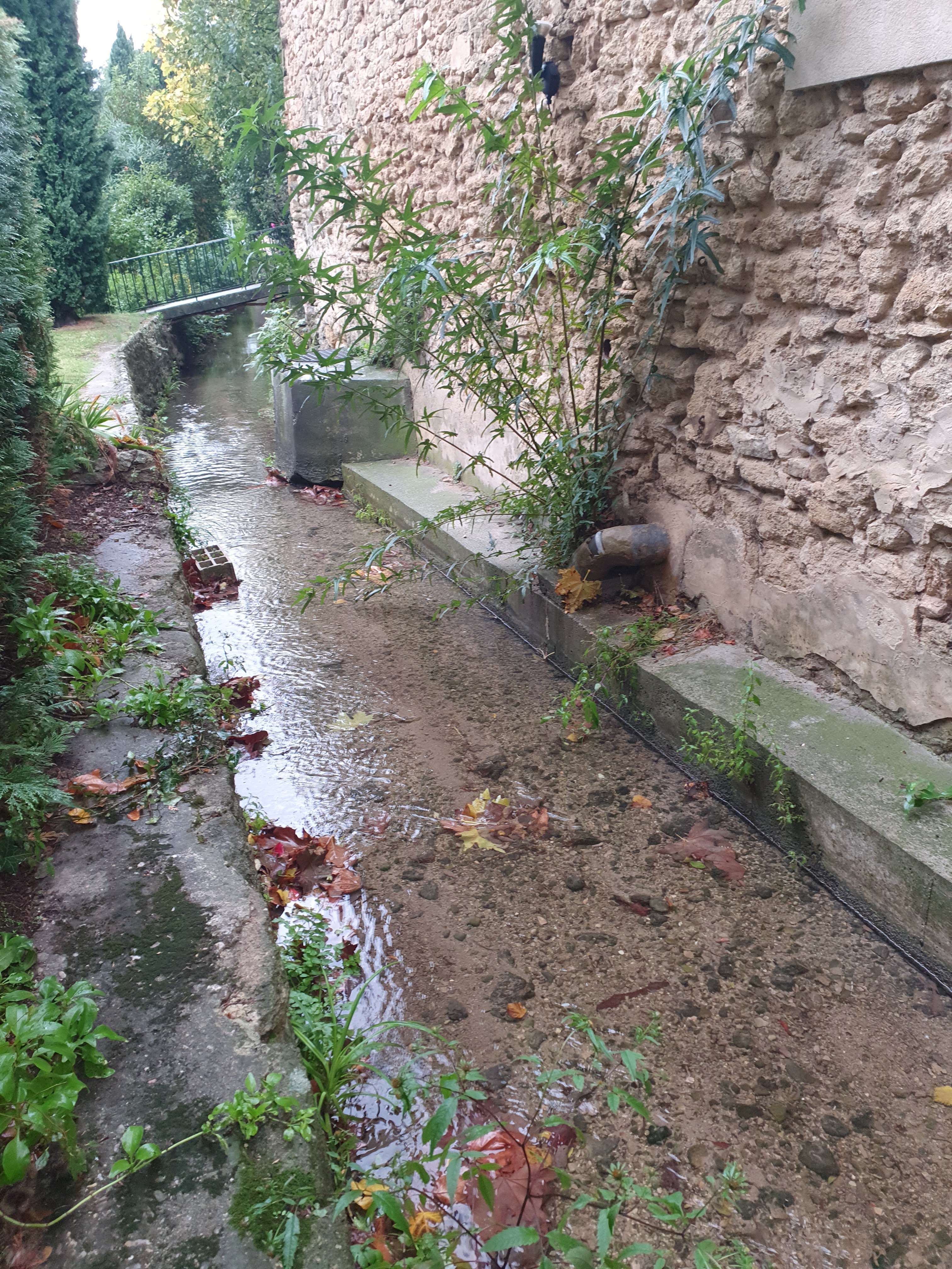 Photo n° 1 de l'avis de Emmanuel.i fait le 13/11/2021 à 13:11