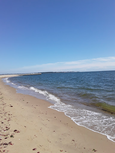 Auto Parts Store «NAPA Auto Parts - Genuine Parts Company», reviews and photos, 1260 Newfield St, Middletown, CT 06457, USA