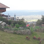 Photo n°3 de l'avis de Fritz.i fait le 22/09/2020 à 16:56 sur le  Berggasthof Kogl à Brannenburg