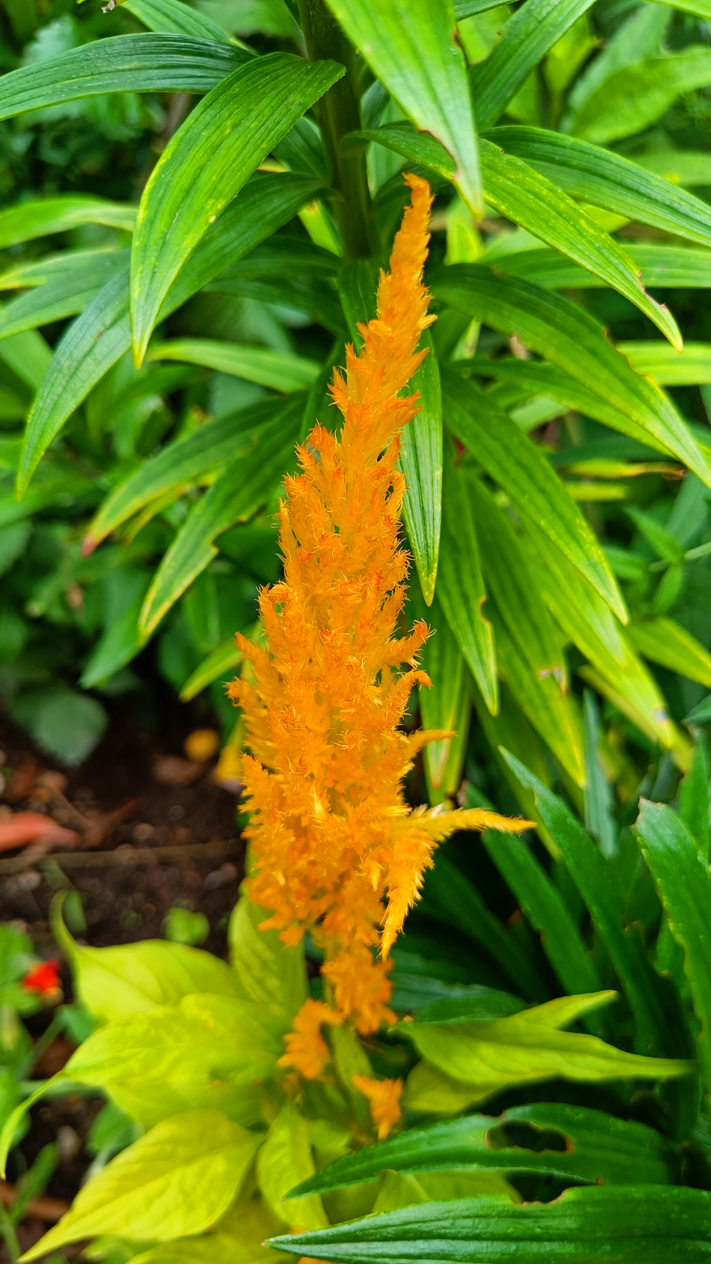 Photo n° 29 de l'avis de Eliot.o fait le 28/07/2023 à 16:35