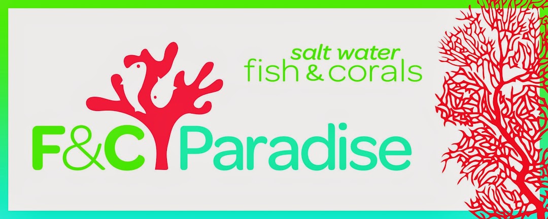 Fish and Coral Paradise