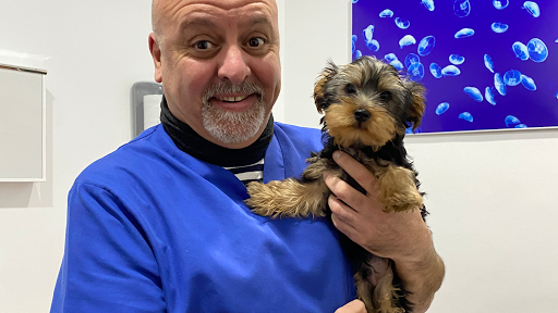 Eurocentro Clínica Veterinaria en Torrevieja