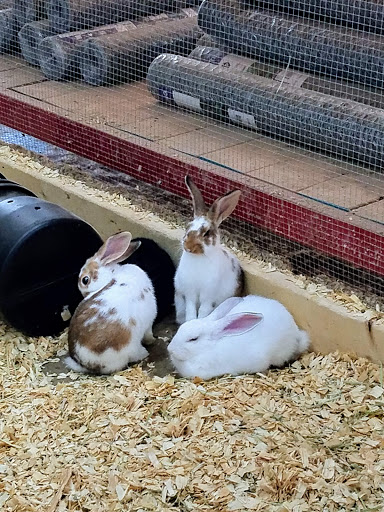 Department Store «Rural King», reviews and photos, 9525 Collinsville Rd, Collinsville, IL 62234, USA