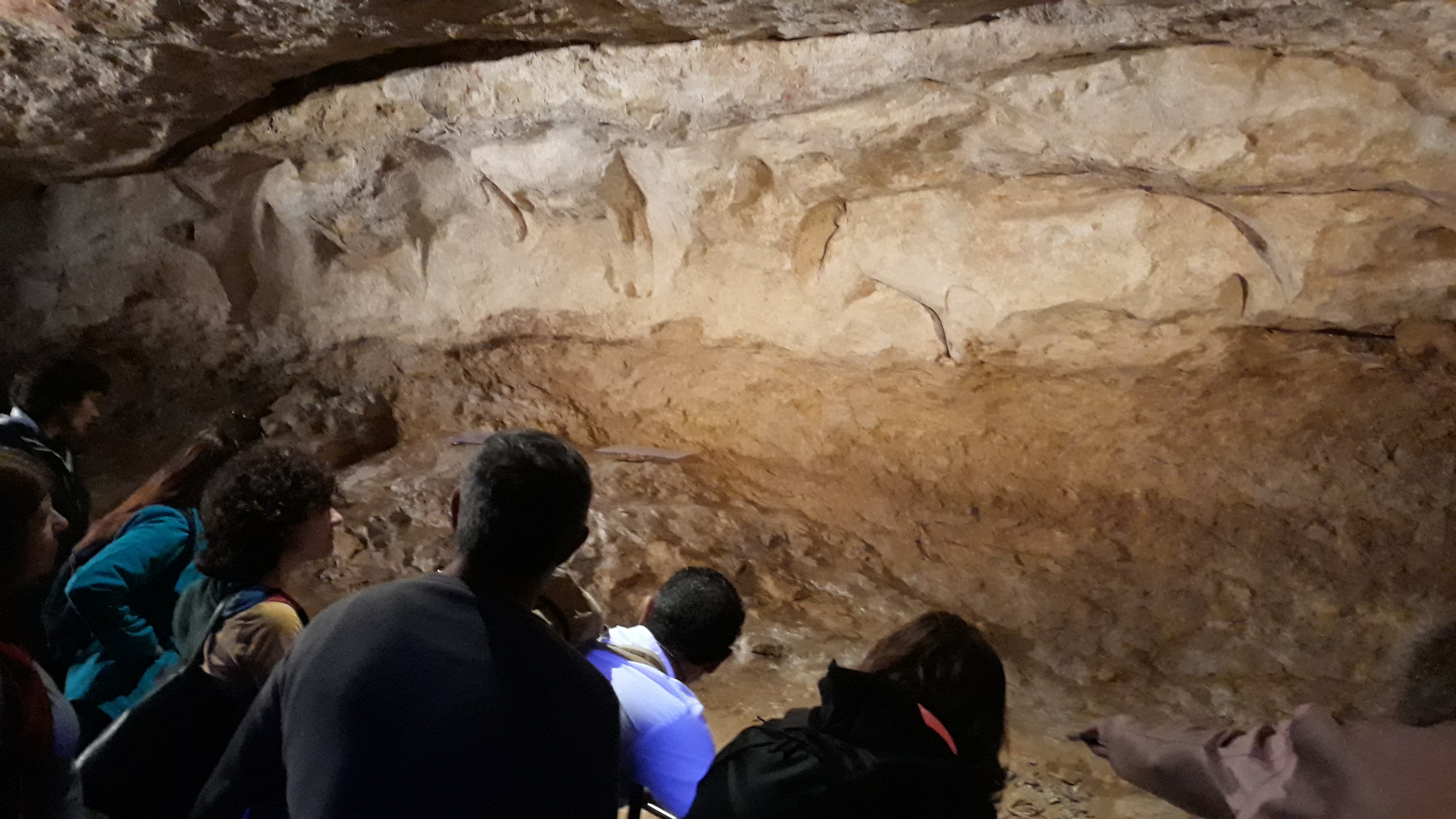 Photo n° 1 de l'avis de Miguel.� fait le 18/04/2019 à 13:51