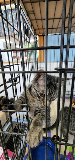 Pet Supply Store «Healthy Pet Center», reviews and photos, 237 N Greenbush Rd, Troy, NY 12180, USA