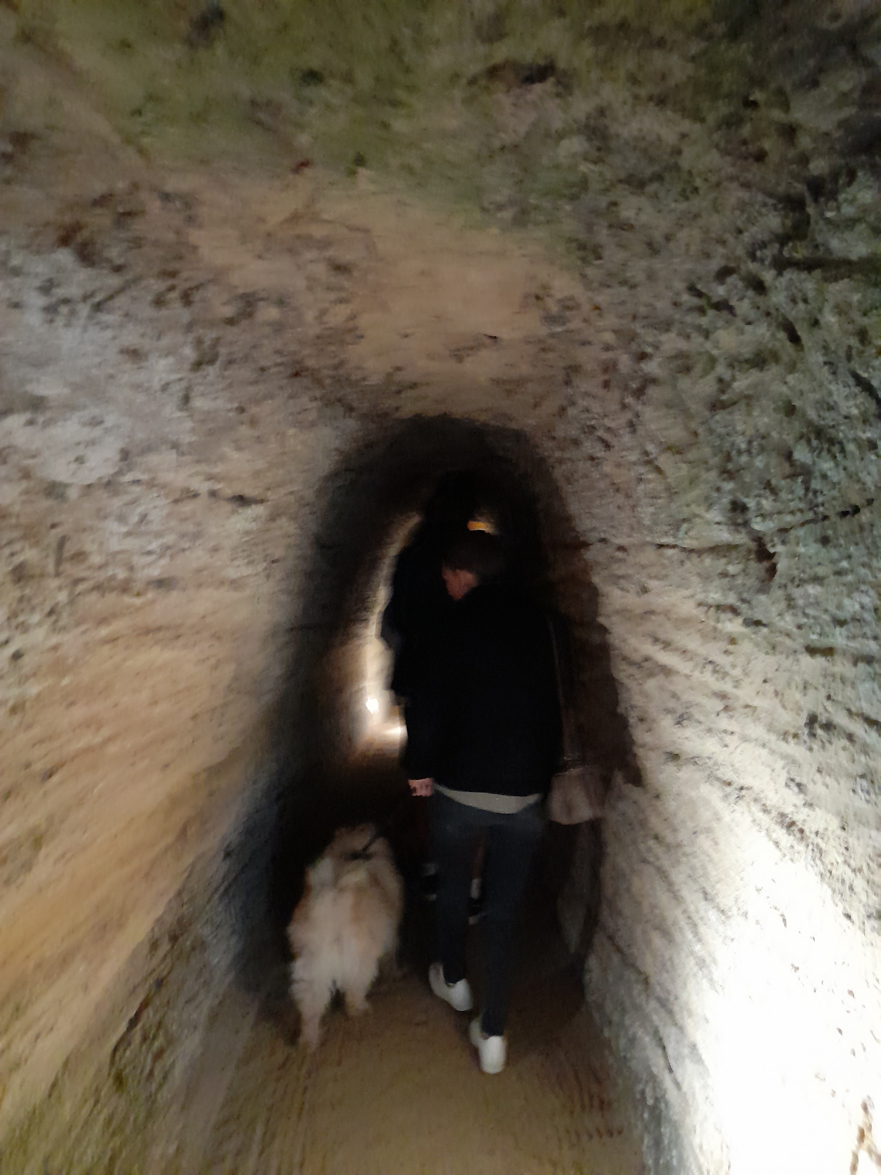Photo n° 28 de l'avis de Patou.a fait le 27/05/2022 à 16:27