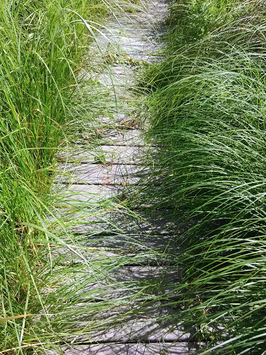 Nature Preserve «Bow in the Clouds Preserve», reviews and photos, 1805 Nazareth Rd, Kalamazoo, MI 49048, USA