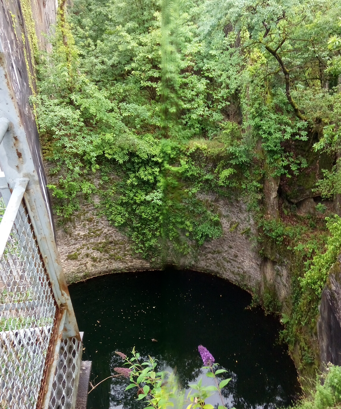 Photo n° 12 de l'avis de véronique.u fait le 13/06/2019 à 11:34