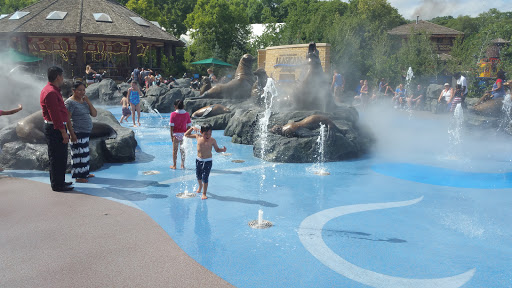 Zoo «Durhams Bear Canyon», reviews and photos, 3701 S 10th St, Omaha, NE 68107, USA