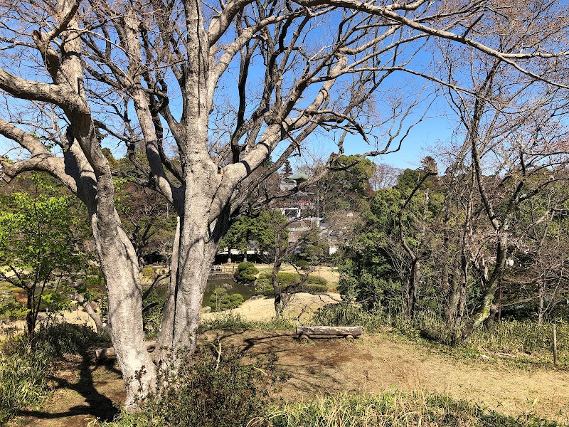 米蒔も罪ぞよ鶏がけ合ぞよ（小林一茶）