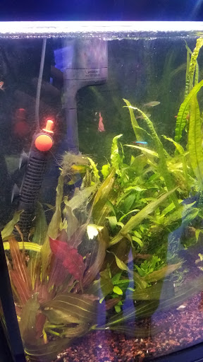 Tropical Fish Store «The Premium Aquarium», reviews and photos, 1875 25th St SE, Salem, OR 97302, USA