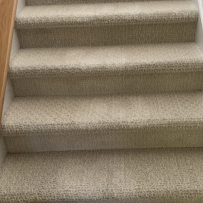 Stain Patrol Carpet Cleaning By Hugo - Photo 8 - Car repair in Santa Cruz, CA, Santa Cruz