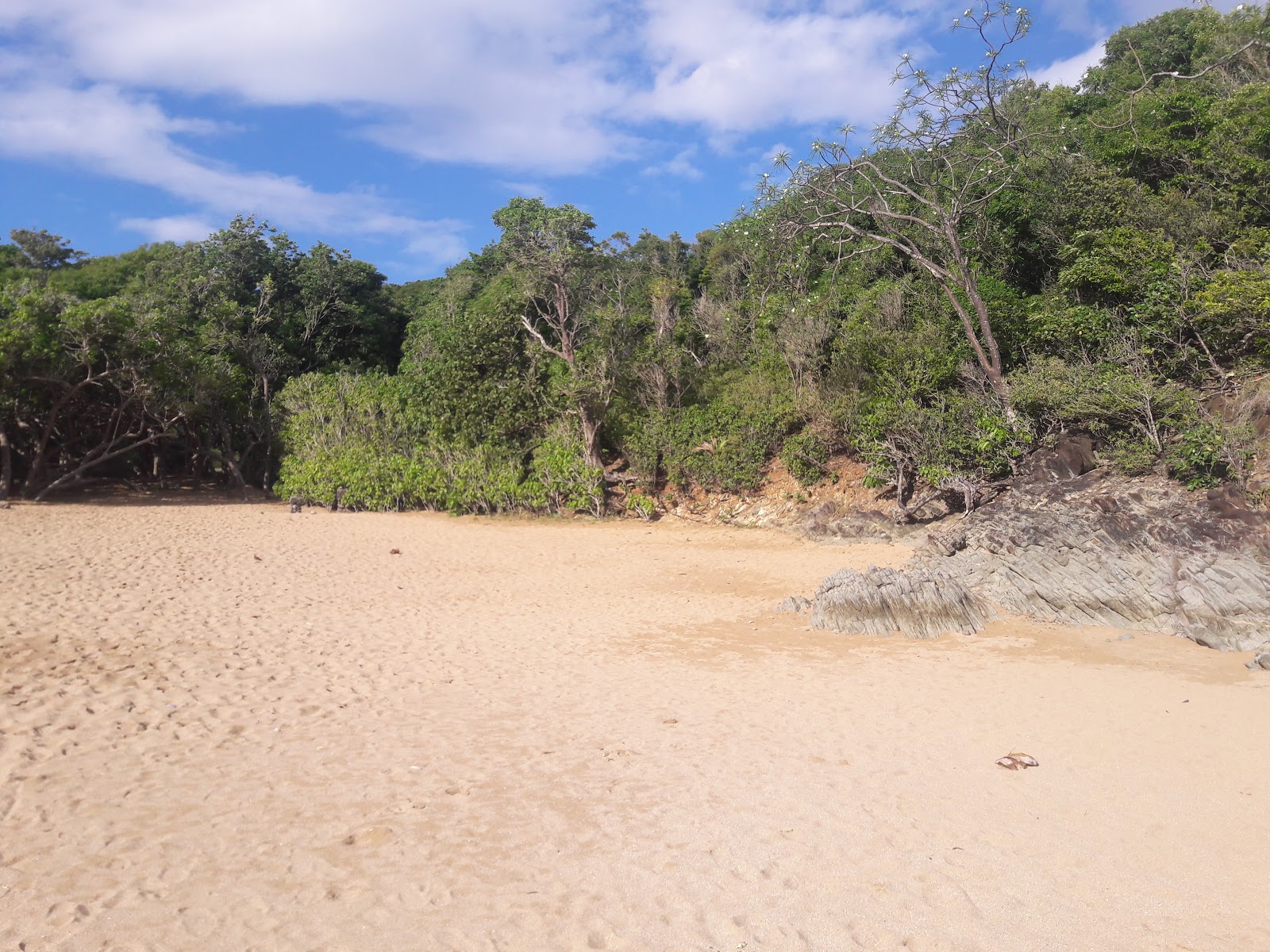 Plage de Tillet photo #7