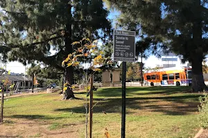 Altadena Triangle Park image