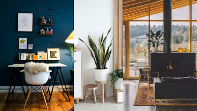 CG Conseil Immobilier à Versailles