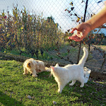 Photo n°12 de l'avis de Manuel.i fait le 09/10/2021 à 13:37 sur le  Casa das Palmeiras - Nature Houses & Pedagogic Farm à Mangualde