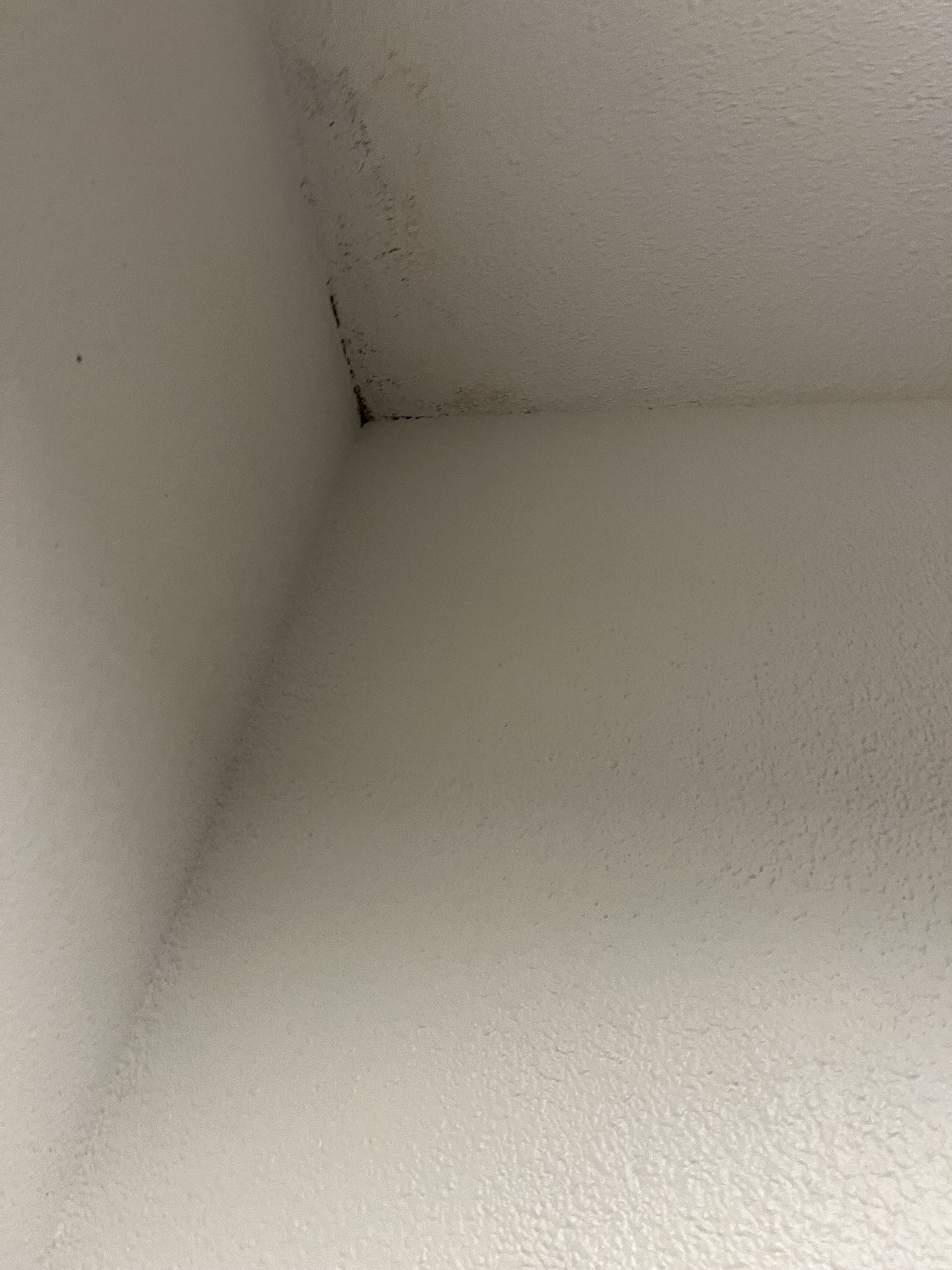 Photo n° 1 de l'avis de hans.a fait le 11/02/2024 à 15:47