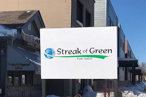 Streak of Green Hair Salon