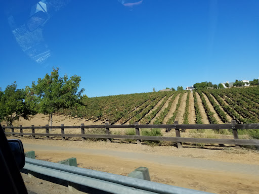 Winery «Las Positas Vineyards», reviews and photos, 1828 Wetmore Rd, Livermore, CA 94550, USA