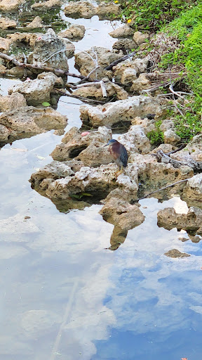 Park «Coral Reef Park», reviews and photos, 7895 SW 152nd St, Palmetto Bay, FL 33157, USA