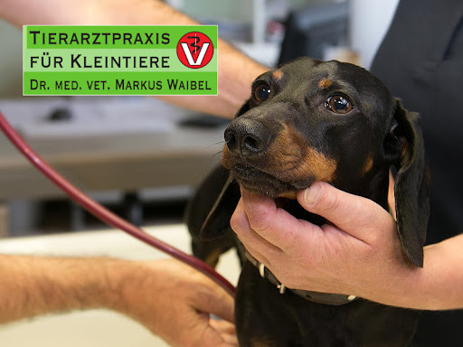 Dr. med. vet. Markus Waibel Tierarzt unter Landshut, 