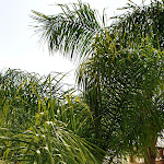 Photo n°10 de l'avis de JaYaKaAzZ.a fait le 27/06/2019 à 10:38 sur le  Art Hotel Diamond Naxos Taormina à Naxos