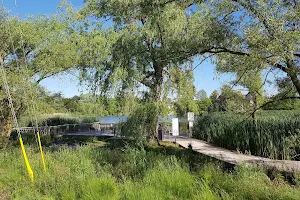 Oakbank Pond Park image