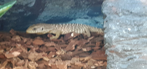 Pet Supply Store «Petco Animal Supplies», reviews and photos, 2805 E 29th Ave, Spokane, WA 99223, USA