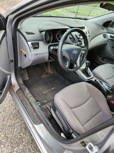 Buggy Scrubbers Mobile Car Detailing en SeaTac
