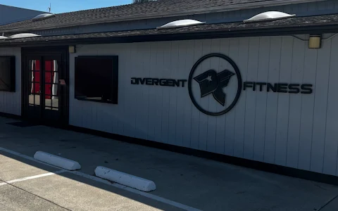 Divergent Fitness image