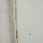 Photo n°7 de l'avis de giovanni.c fait le 13/05/2018 à 16:14 sur le  Tre Leoni à Somma Lombardo