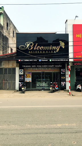 Blooming accessories : Trang sức phụ kiện