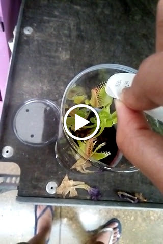 Supermarket «ALDI», reviews and photos, 1549 E Belt Line Rd, Richardson, TX 75081, USA