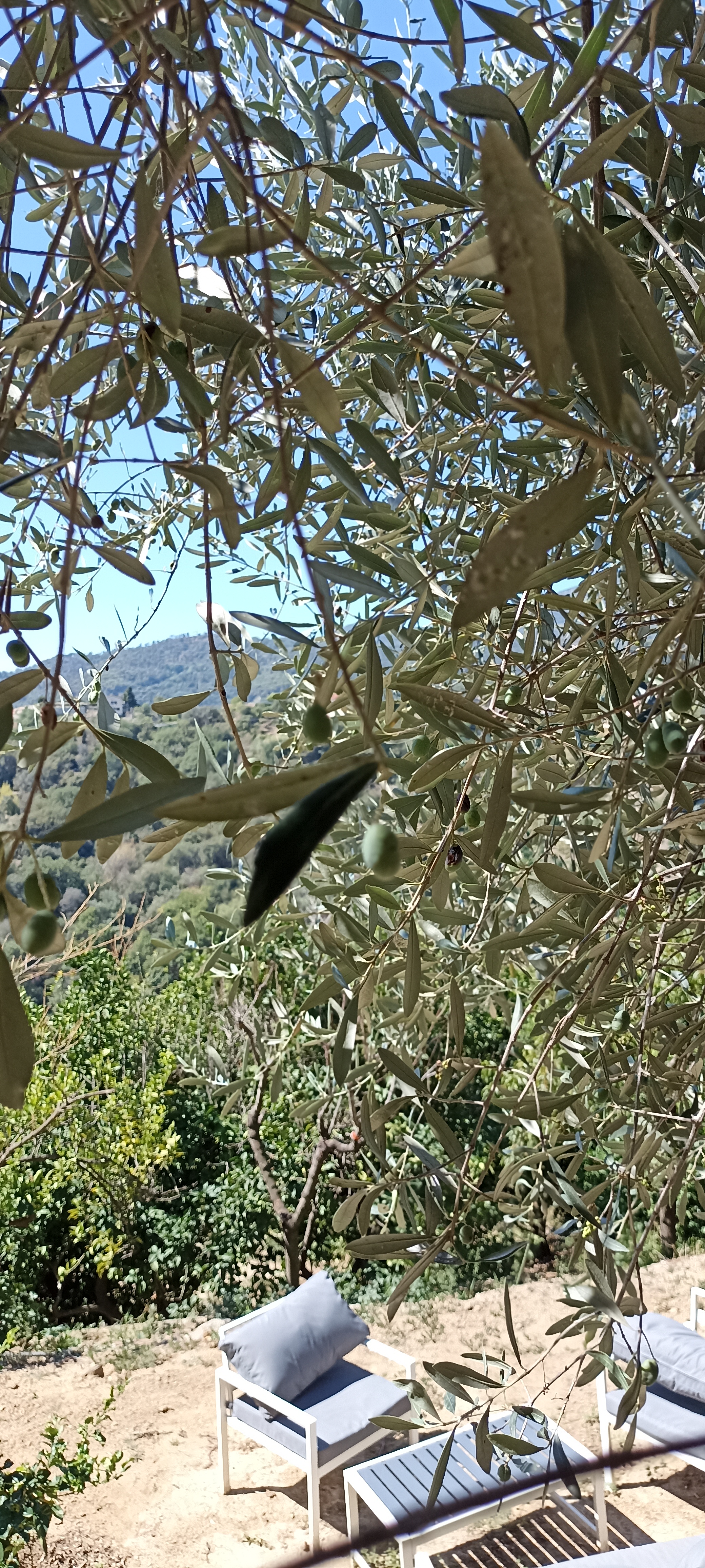 Photo n° 6 de l'avis de François.o fait le 03/09/2022 à 17:47