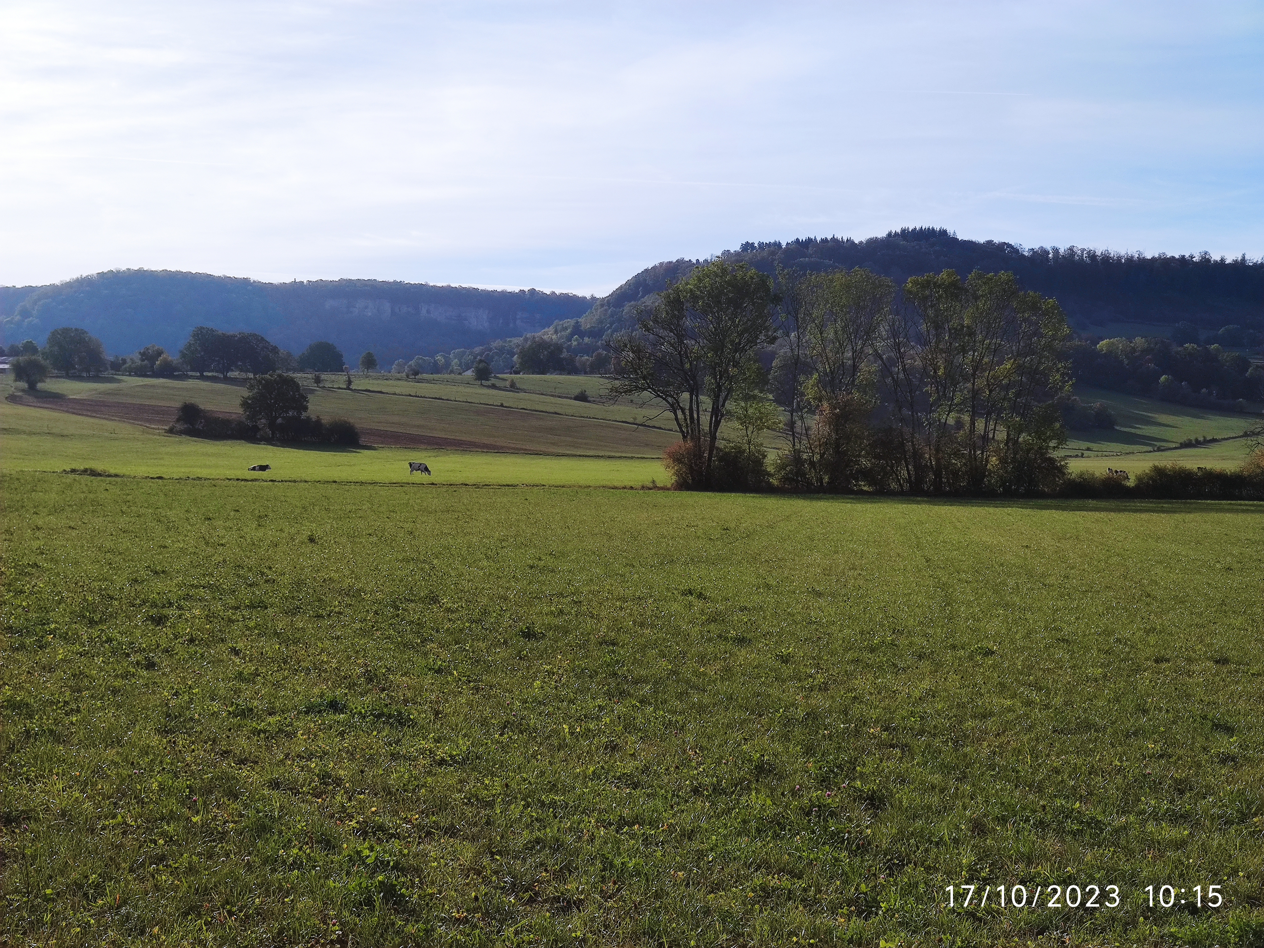 Photo n° 34 de l'avis de Patrick.i fait le 12/12/2023 à 10:07