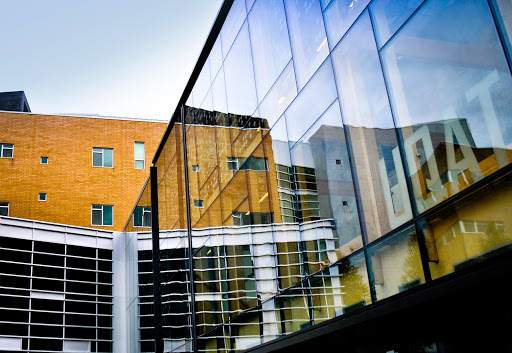 Université du Québec en Abitibi-Témiscamingue