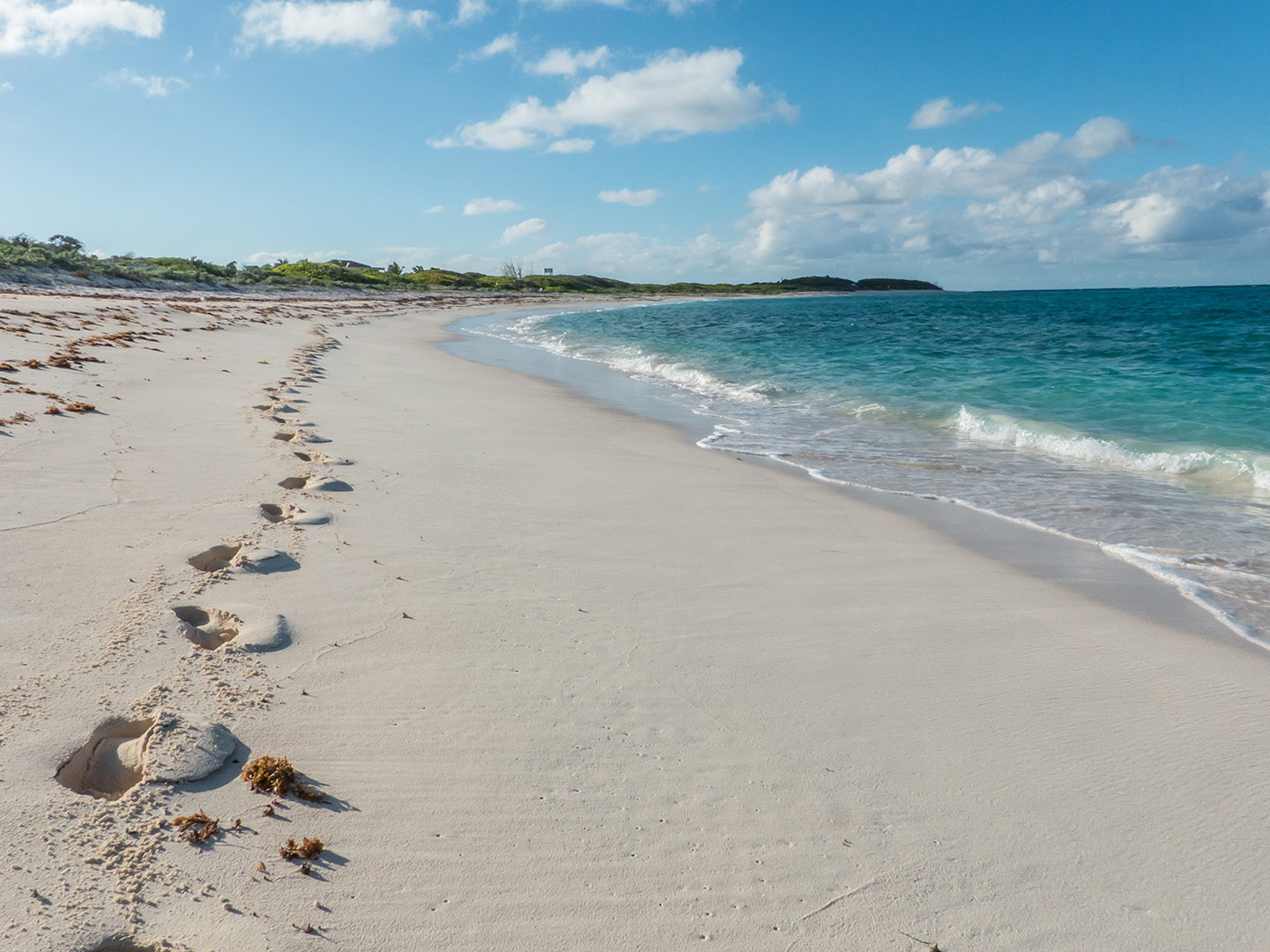 Foto von Whispering Pines mit heller feiner sand Oberfläche