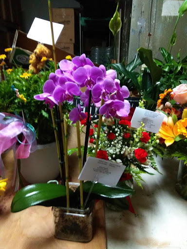 Florist «Enchanted Florist», reviews and photos, 1956 US-1, St Augustine, FL 32084, USA