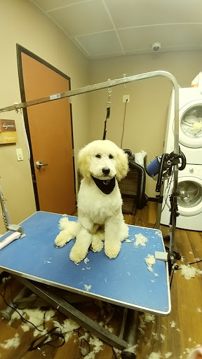 Pet Store «Pet Valu», reviews and photos, 2645 Shillington Rd, Sinking Spring, PA 19608, USA