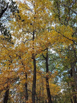 Lake Lansing Park North - photo 16