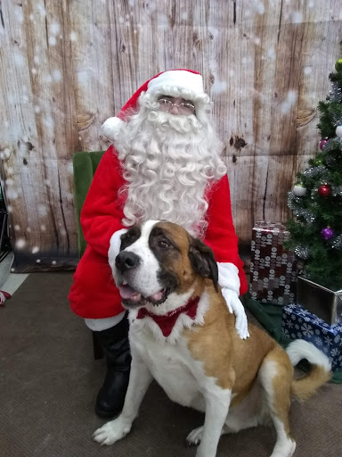 Pet Supply Store «Chow Hound Pet Supplies», reviews and photos, 660 Chicago Dr, Holland, MI 49423, USA