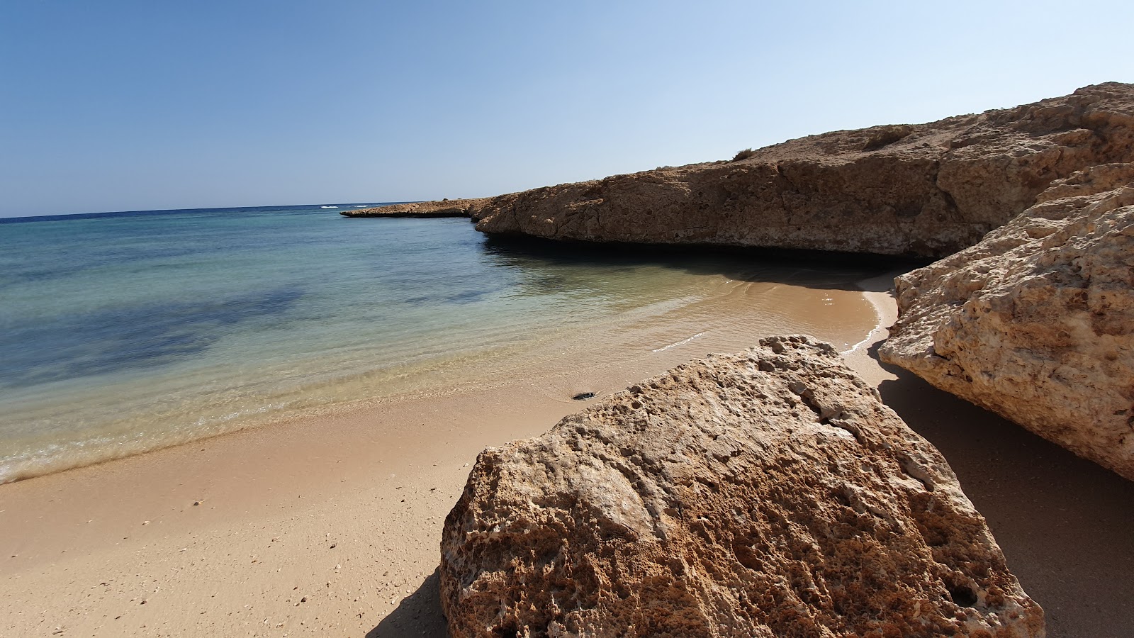 Shark Reef beach'in fotoğrafı #42 ile birlikte