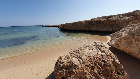 Shark Reef beach