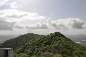 Dinodhar Hills, an extinct volcano, Gujarat, India image