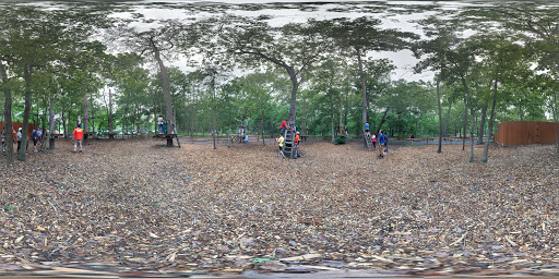 Tourist Attraction «Tree To Tree Cape May», reviews and photos, 707 U.S. 9, Cape May Court House, NJ 08210, USA