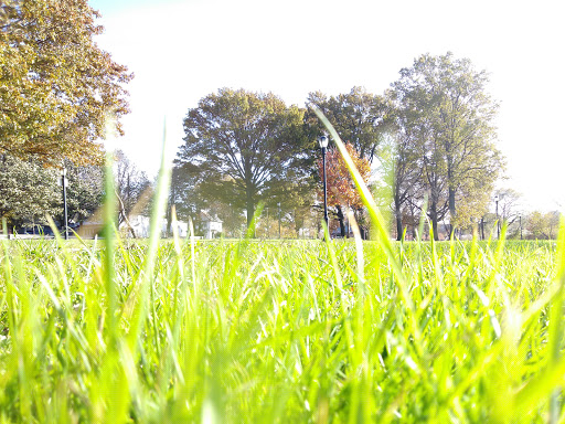 Park «Baisley Pond Park», reviews and photos, Baisley Blvd, Jamaica, NY 11434, USA