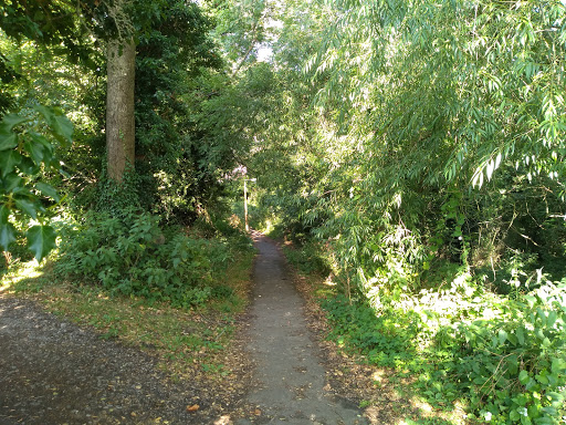 Bruddel Wood