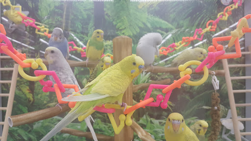 Pet Supply Store «Petco Animal Supplies», reviews and photos, 852 N Western Ave, San Pedro, CA 90732, USA