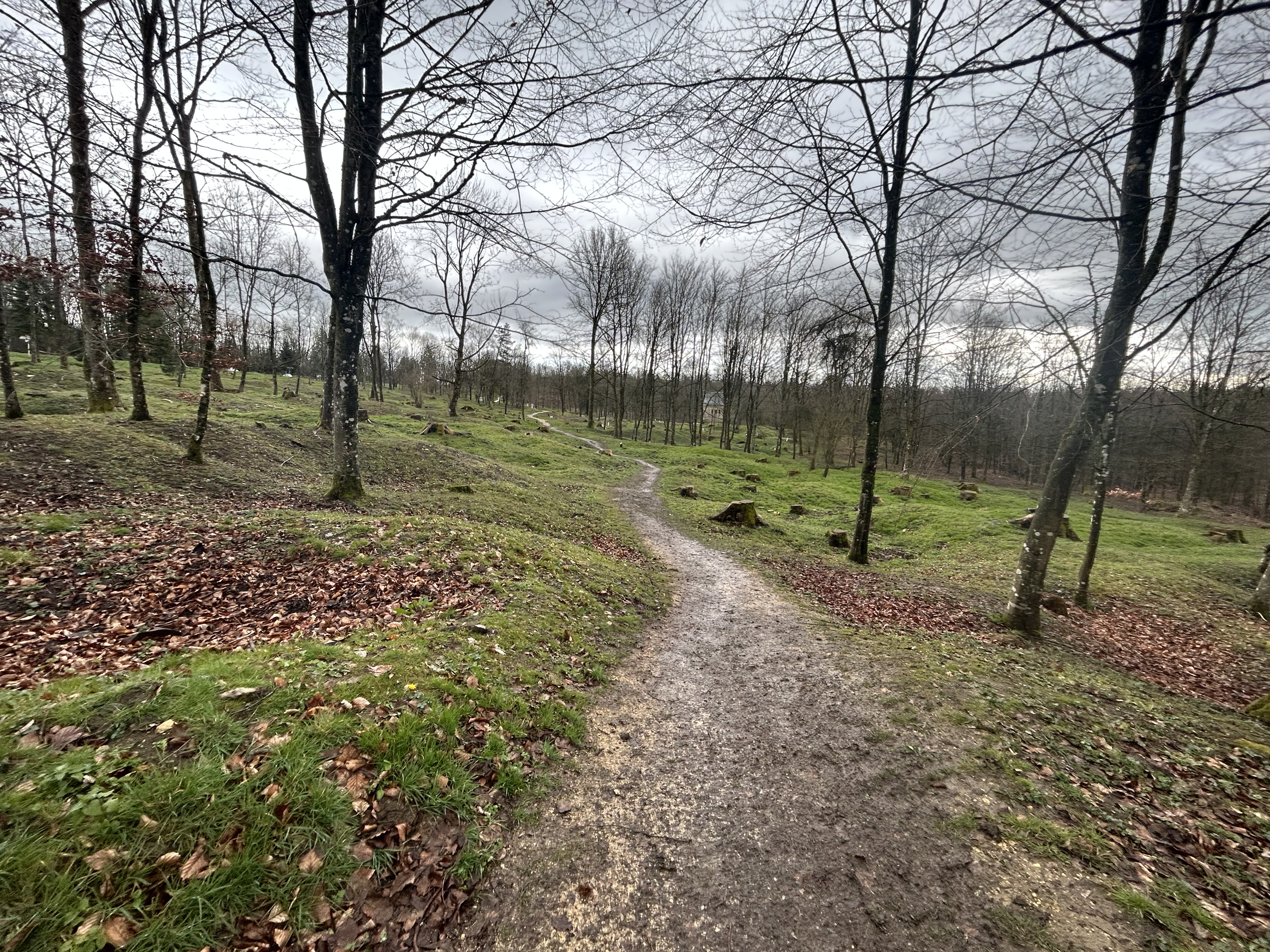 Photo n° 5 de l'avis de Romain.e fait le 26/03/2023 à 21:11