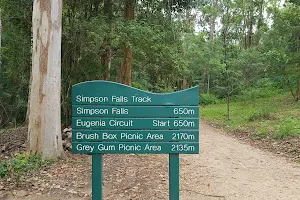 Simpson Falls image